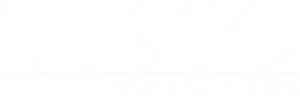 Logo of Lusso Hair Studio & Spa located in Winston-Salem, NC.
